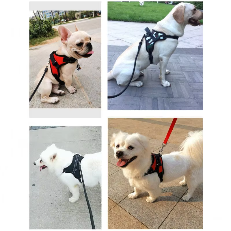 Arnés reflectante antitiros para perros grandes y pequeños - imagen 2