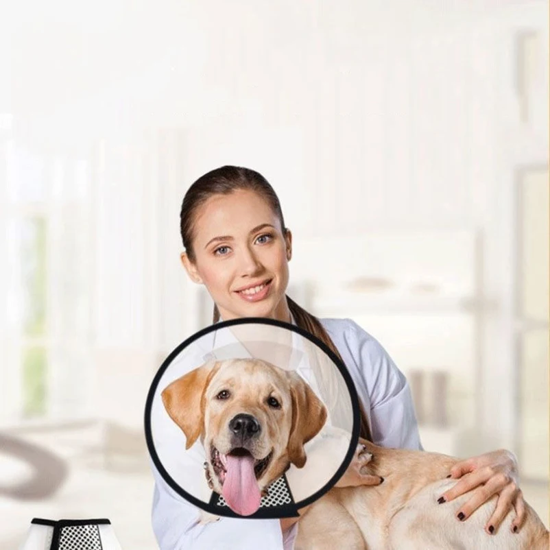 Previene la mordedura, cubierta protectora transparente para perros y gatos, curación de heridas, baño, cono de aseo, Collar médico protector para perros y mascotas - imagen 2