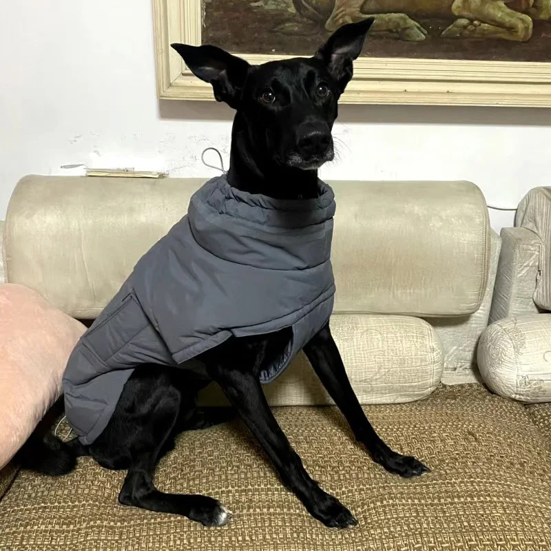 Ropa cortavientos para mascotas, chaqueta gruesa y cálida de invierno para perros pequeños y medianos, abrigos Whippet Greyhound, ropa para mascotas - imagen 3