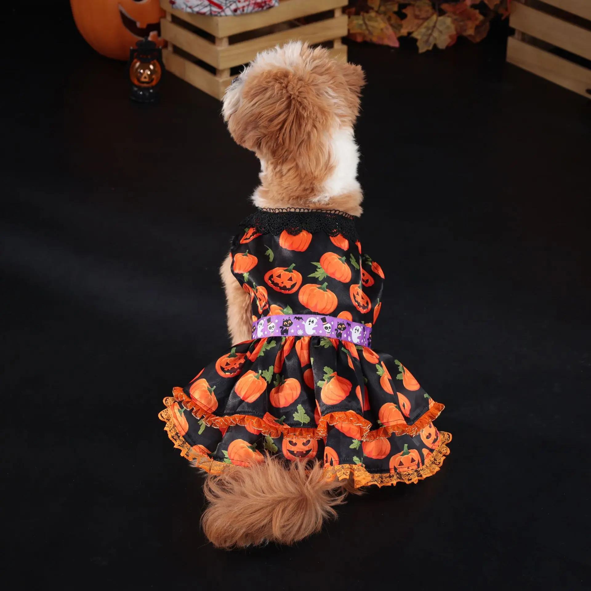 Vestido de Halloween para perros pequeños, medianos y grandes, disfraz de calabaza para mascotas, traje de fiesta - imagen 5