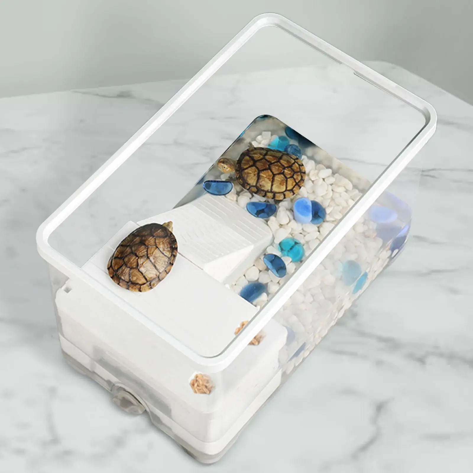 Turtle Tank Aquarium Box with Platform Basking Ramp Bottom Drainage Full View Visually Hatching Area Climbing Turtle Terrarium