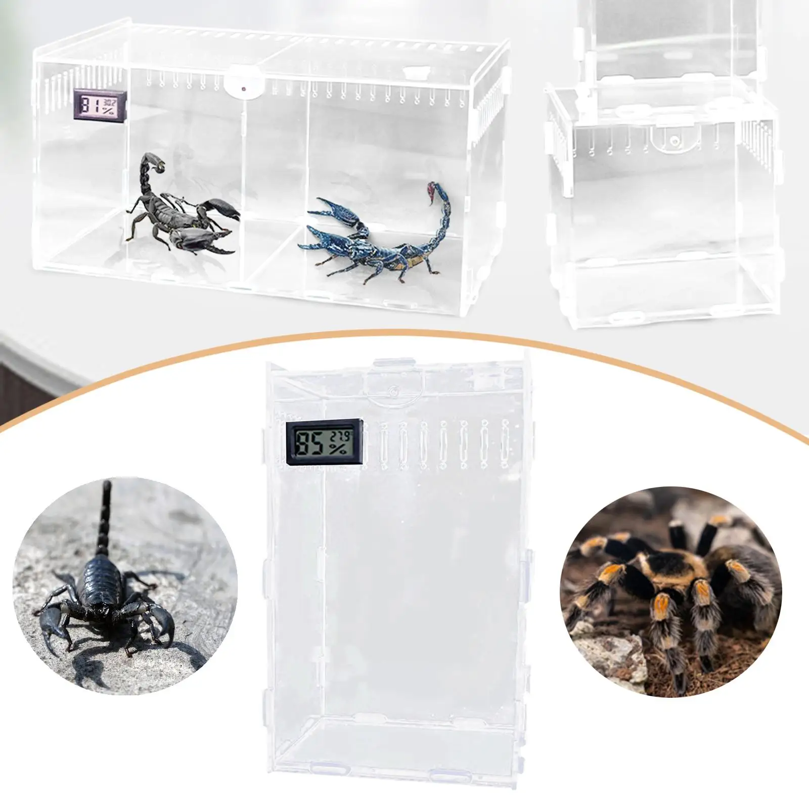 Acrylic Jumping Spider Enclosure Container Spider Tank Reptile Terrarium Tarantula Cage for Arboreal Animal Hermit Crab Beetle Acrylic Jumping Spider Enclosure Container Spider Tank Reptile Terrarium Tarantula Cage for Arboreal Animal Hermit Crab Beetle