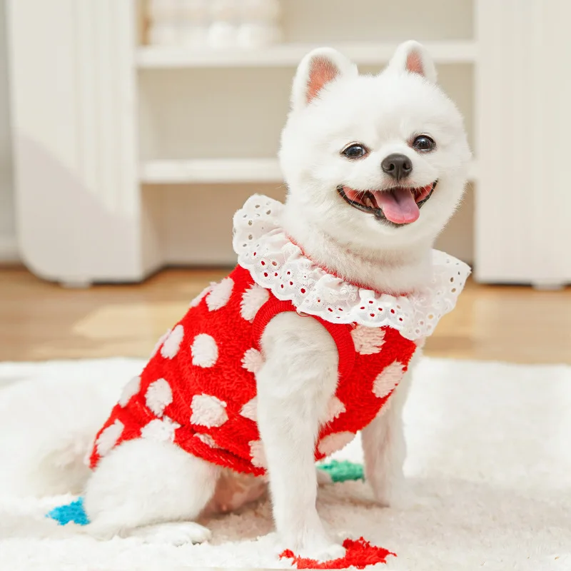 Sudaderas con capucha de lana, jerseys con cuello de encaje para invierno, ropa para perros pequeños, sudadera para cachorros Yorkie Chihuahua, suéter XXL - imagen 3