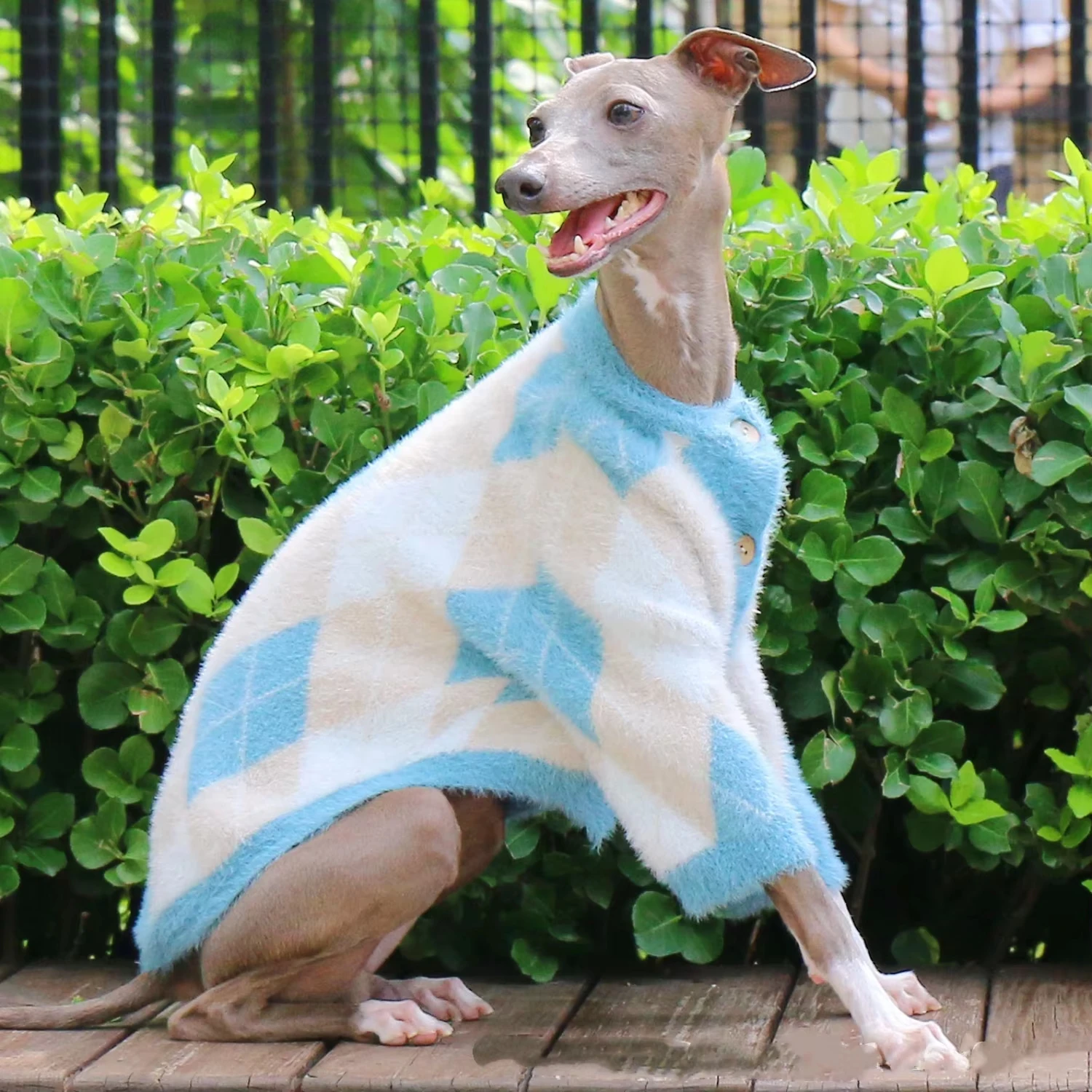Suéter cálido de otoño para galgo italiano Whippet, abrigo de invierno de manga larga con botones para perros Terrier, chaqueta gruesa en primavera - imagen 2