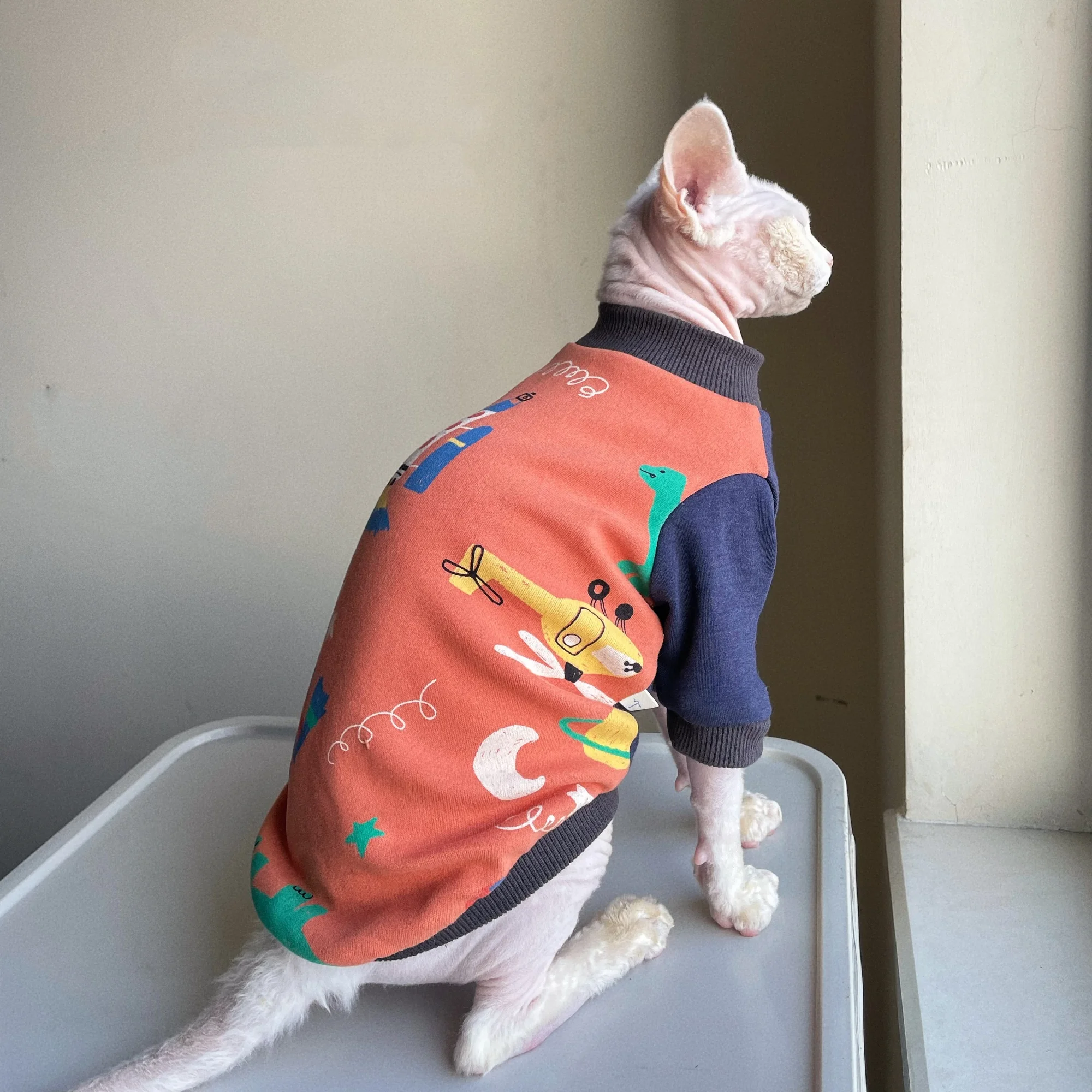 Abrigo suave cálido de invierno para gato Sphynx y Devon Rex - imagen 4