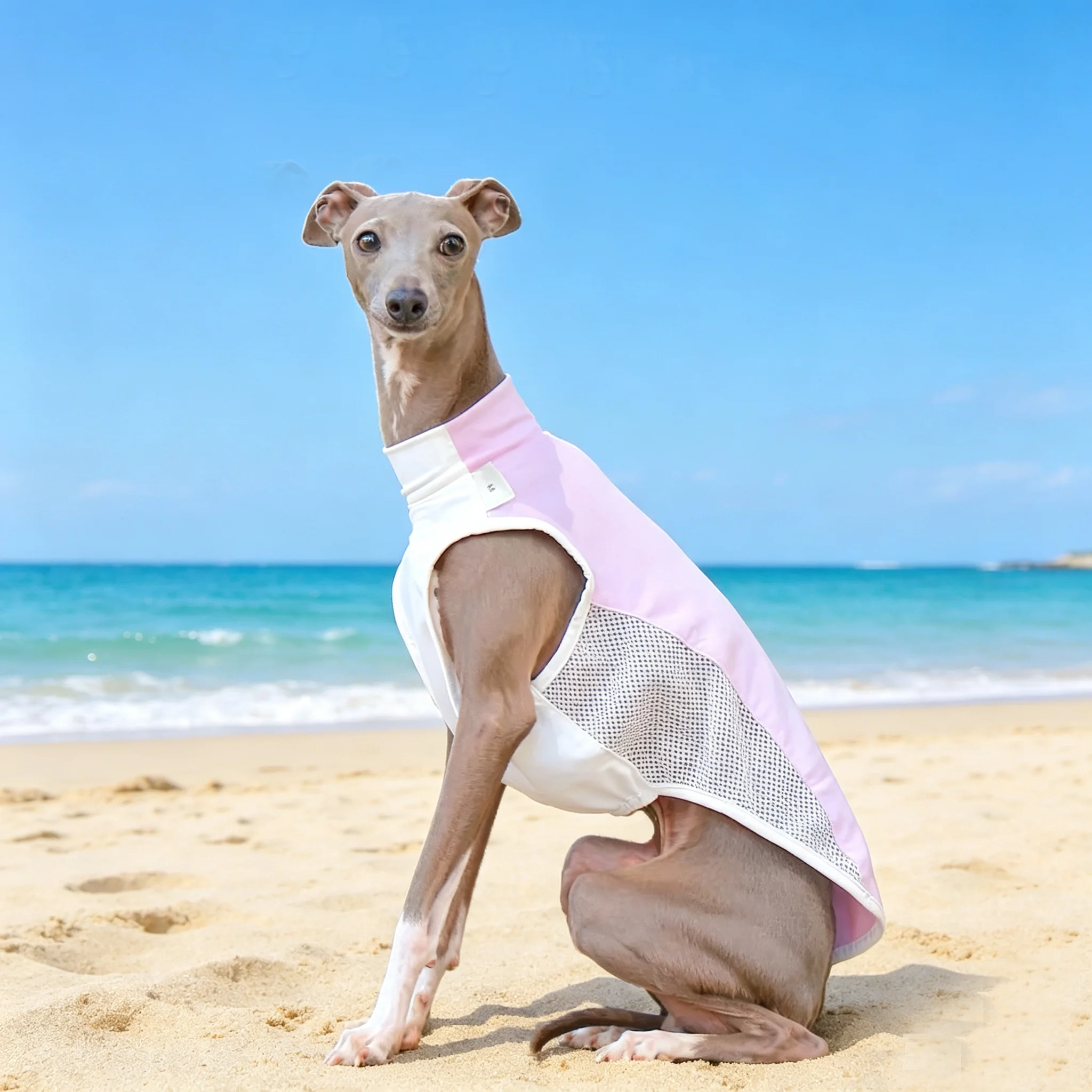 Chaleco transpirable protección solar para Whippet y Galgo Italiano - imagen 5