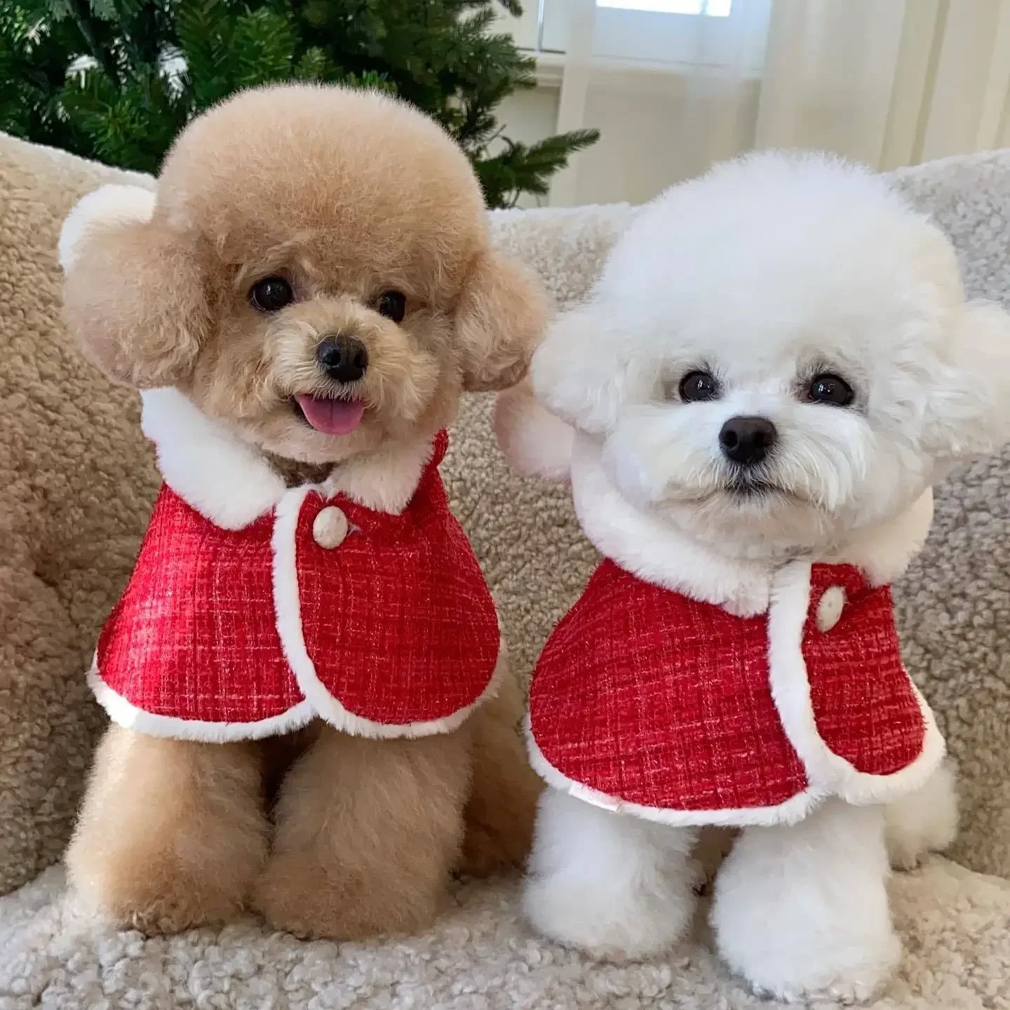 INS Navidad capa para mascotas orejas babero con capucha capa calidez maltés Año nuevo ropa de fiesta para perros abrigo para mascotas diseño de perro de moda ropa para perros - imagen 3