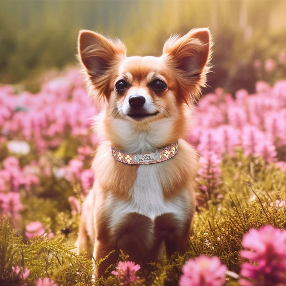 Collar de perro personalizado, collares de identificación antipérdida para cachorros, cuero PU brillante, etiqueta de nombre grabada gratis para perros pequeños y medianos y gatos - imagen 5