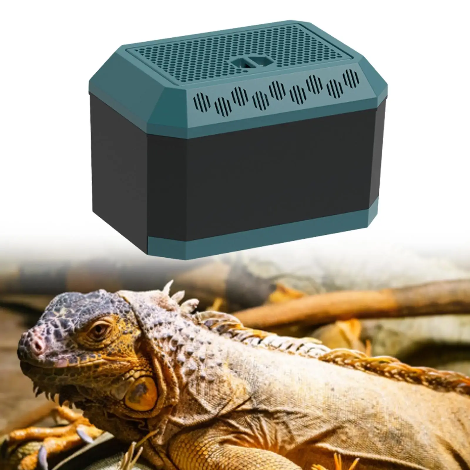 Caja de alimentación para reptiles, contenedor de transporte de tortugas, estuche para incubar hábitat, jaula transpirable para terrario de reptiles para Geckos - imagen 2