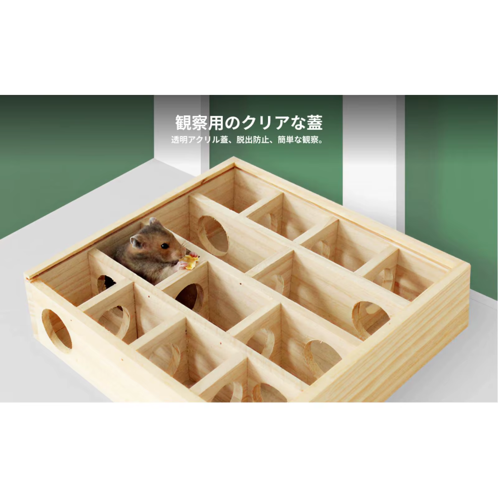Túnel de juego plegable para gatos y perros pequeños – Escondite y ejercicio - imagen 2