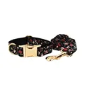 collar and leash set