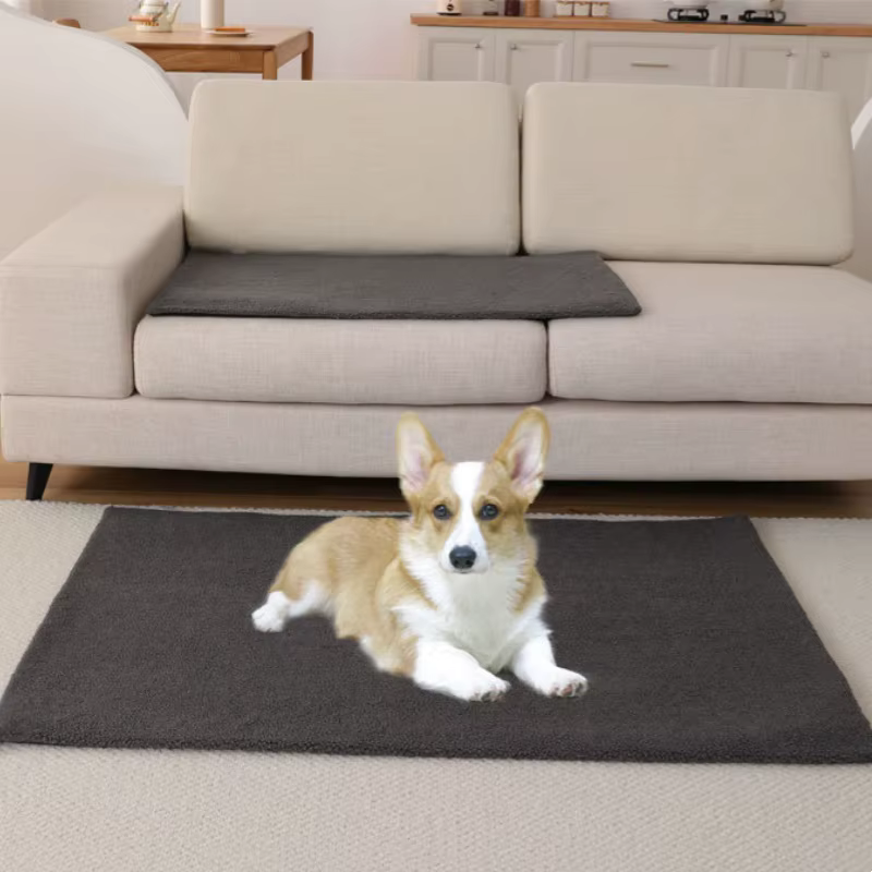 Alfombra calefactora para gatos y perros: calor suave en invierno
