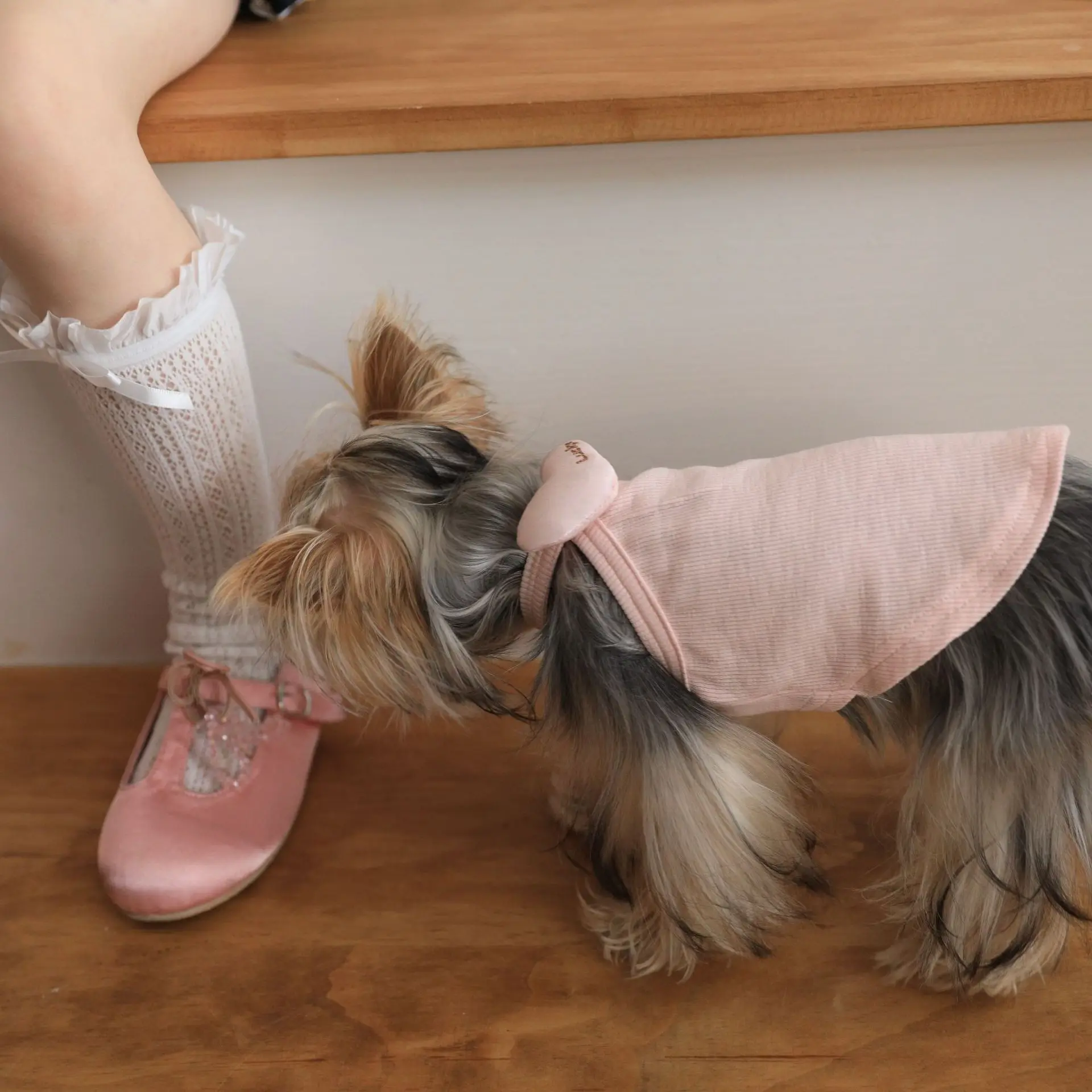 Pet primavera amor correa pequeña primavera colgante cuello chaleco pequeño perro gato Teddy Top ropa para perros para ropa de cachorro - imagen 3