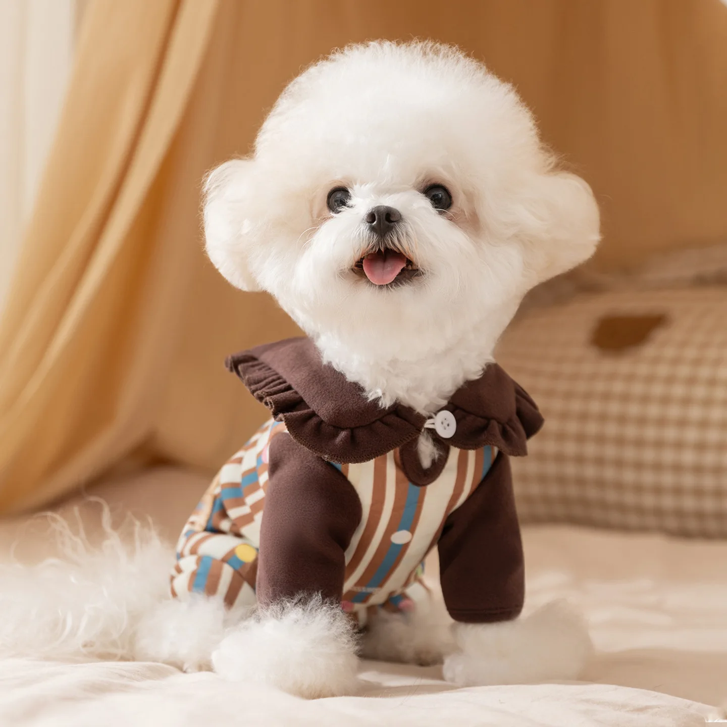 Otoño Invierno mascota cuello de encaje cuatro patas vientre ropa pijamas de invierno perro pequeño camisa inferior a rayas ropa para cachorros - imagen 3