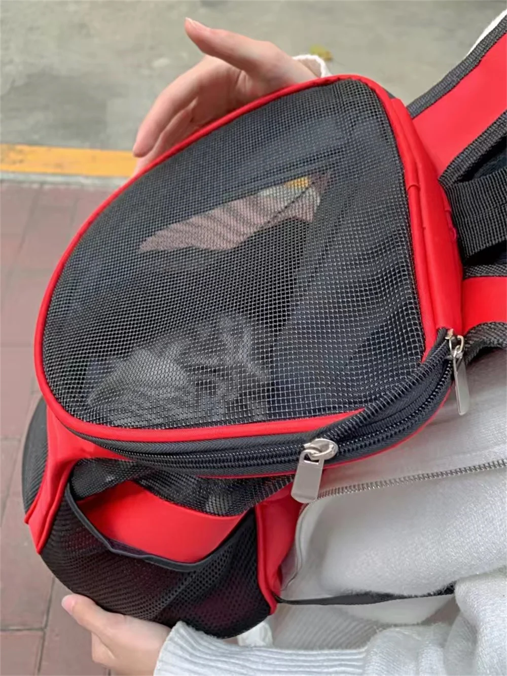 Mochila transpirable para gatos, cachorros y perros pequeños - imagen 4