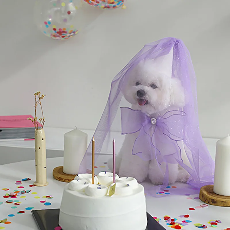 Lindo sombrero de fiesta de cumpleaños para perro, sombrero de boda, toalla de Saliva con lazo, bufanda triangular de peluche, babero de bolsillo, joyería para perro - imagen 2
