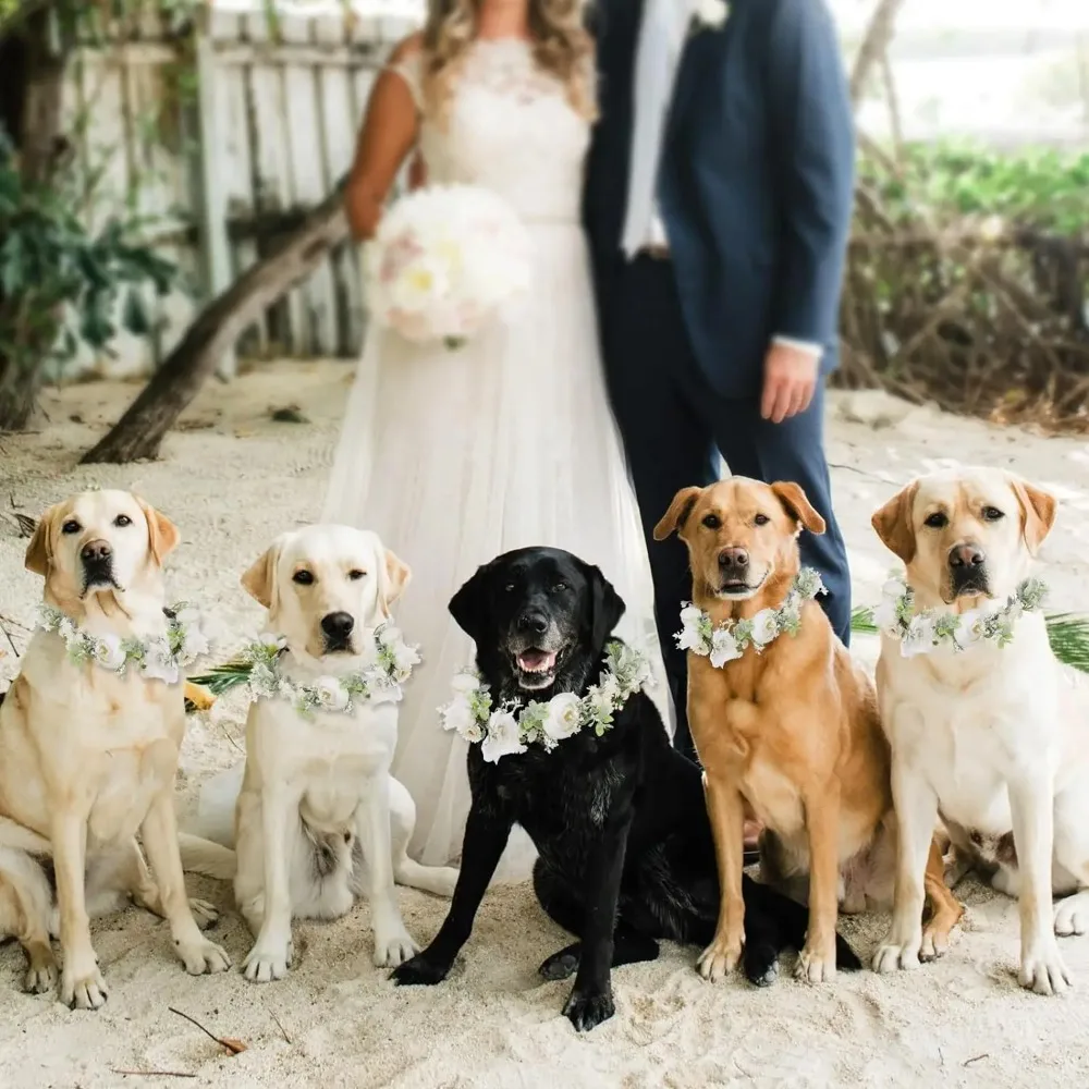 Collar de perro de flores elegante ajustable para perros medianos y grandes, accesorios para fotos de boda, accesorios para disfraz de mascota - imagen 5