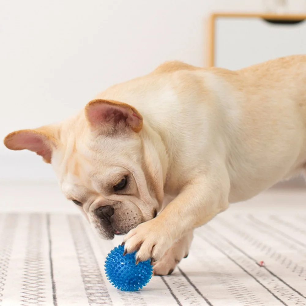 Cachorro chirriante, pelota grande para perros, juguetes para perros pequeños y medianos, dientes limpios, juguete para masticar para mascotas, Bulldog Francés, Corgi mascotas, accesorios para jugar - imagen 4