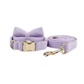Bow Collar Leash Set