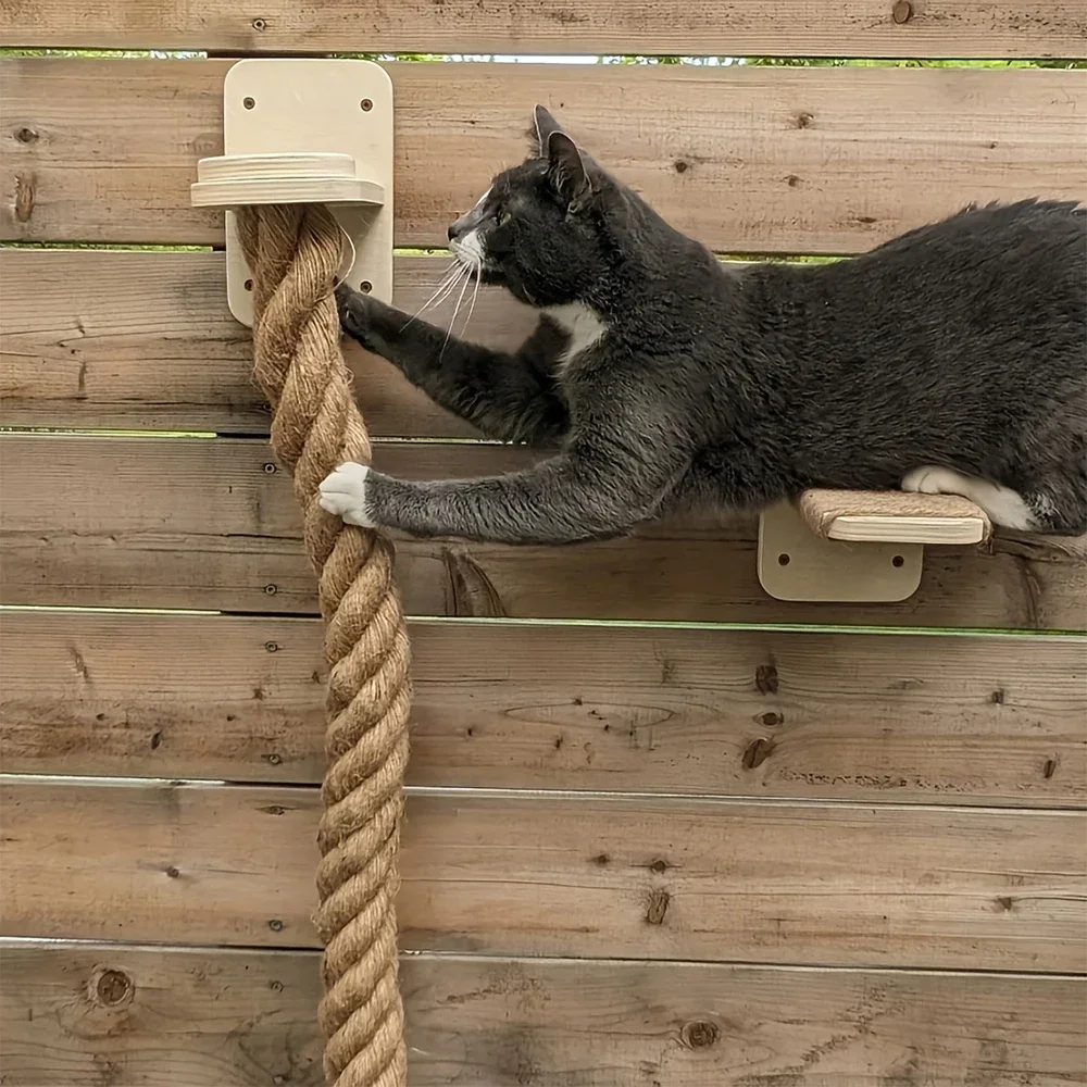 Escalera para subir y trepar para gatos – Madera y sisal, se monta en pared - imagen 3