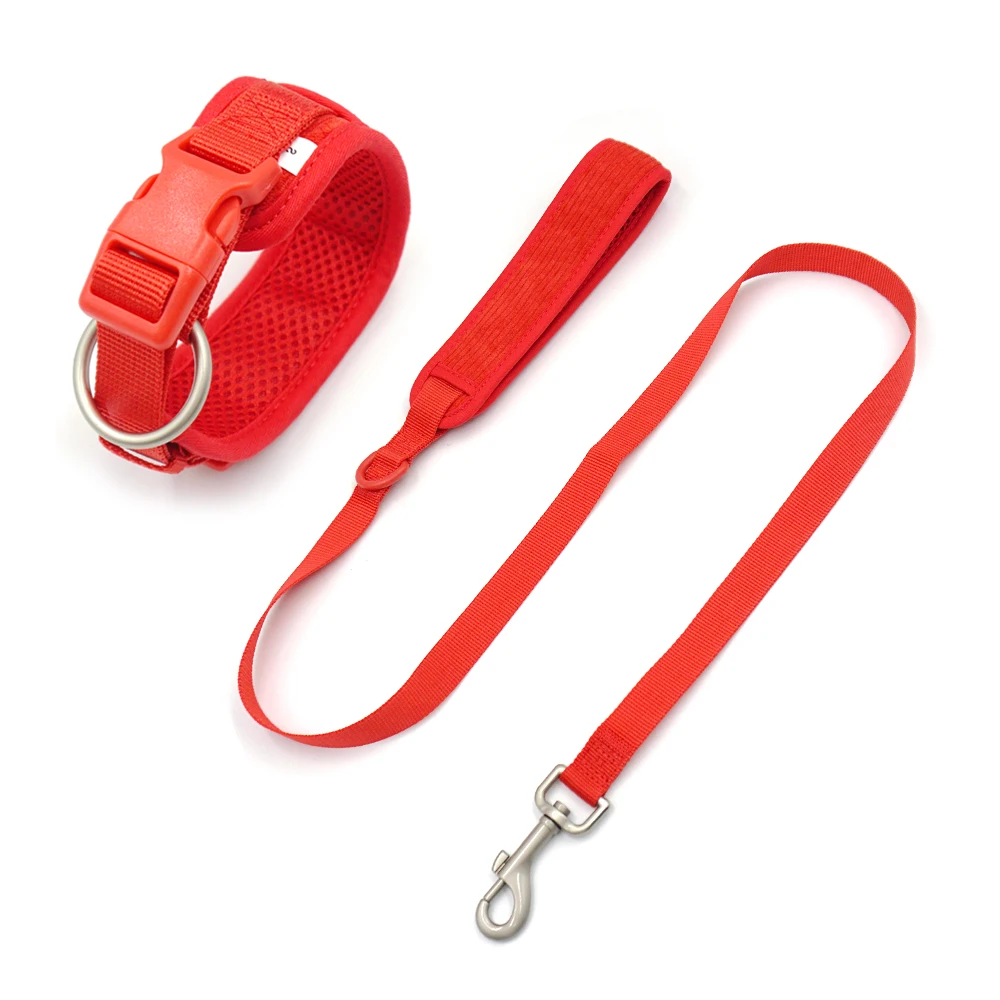 collar leash
