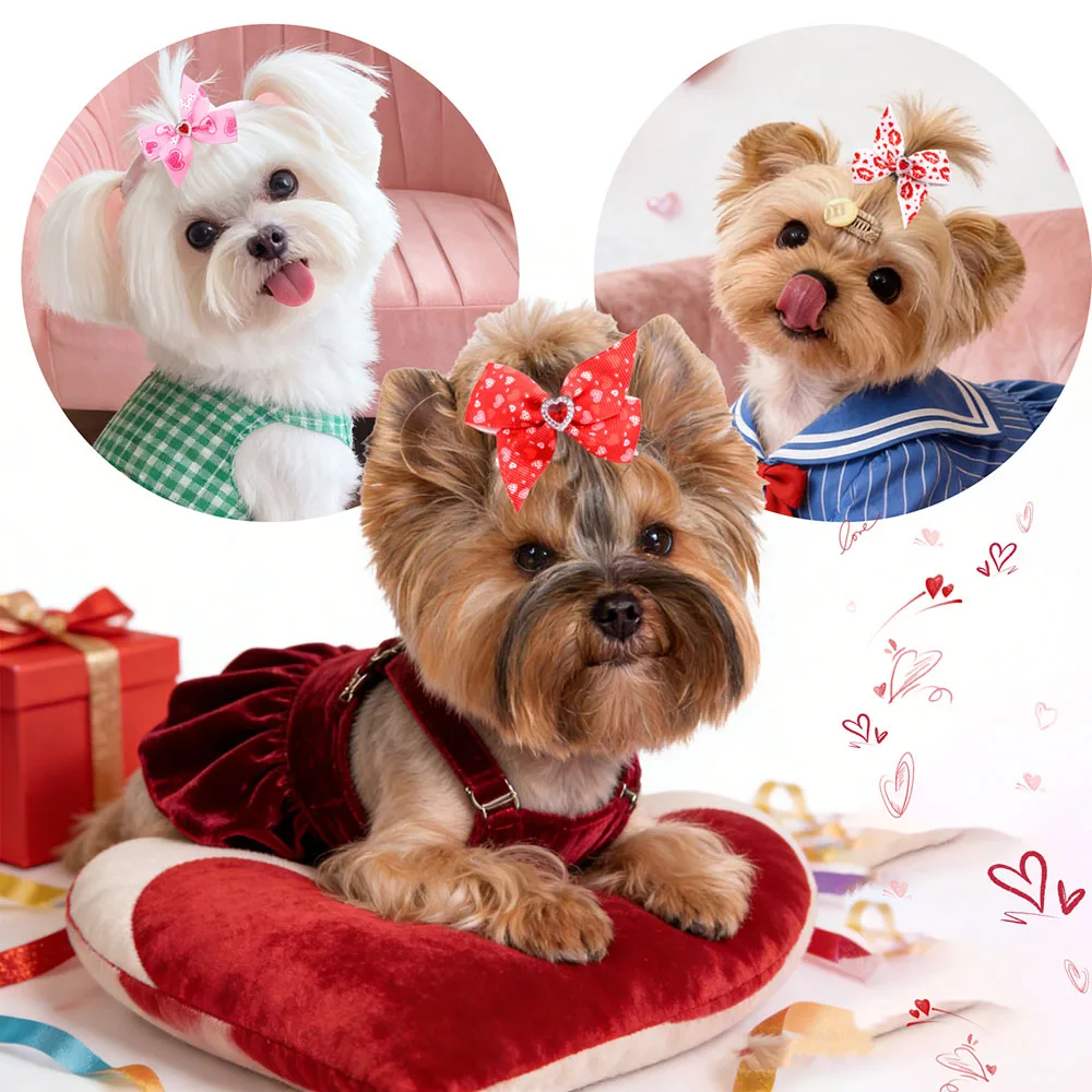 Gomas decorativas para pelo de perro – Modelos corazón y diamante - imagen 3