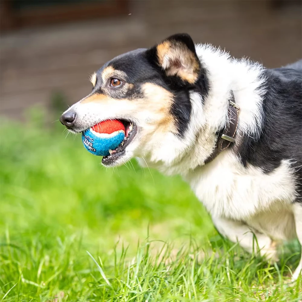 OUZEY 4 unids/set mascotas perro pelota de tenis chirriante juguetes resistente a mordeduras pelota de goma con sonido de alto rebote para perros pequeños y medianos juguete de entrenamiento - imagen 5