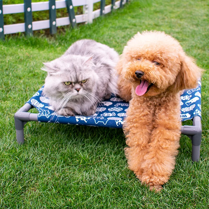 Cama elevada verano para gatos y perros mini – transpirable y lavable - imagen 3