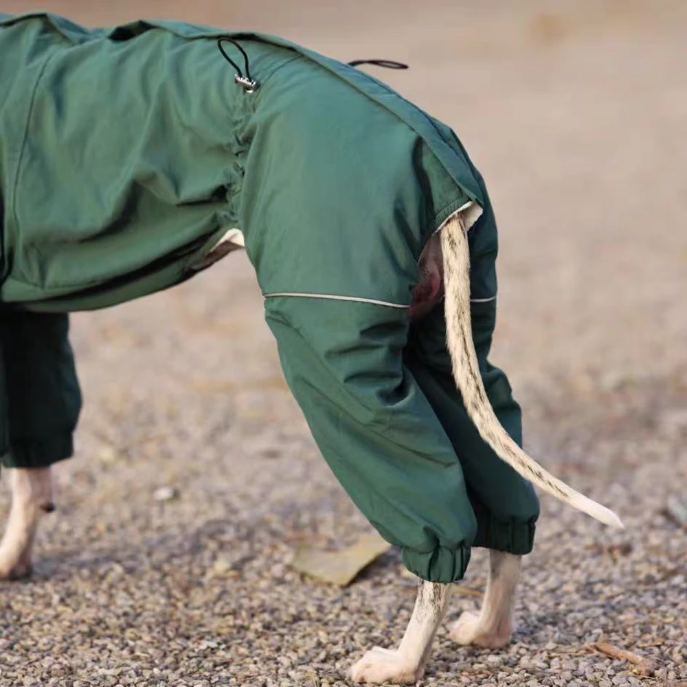 Chaqueta negra, sudadera verde para galgo italiano cómodo y Whippet - imagen 3