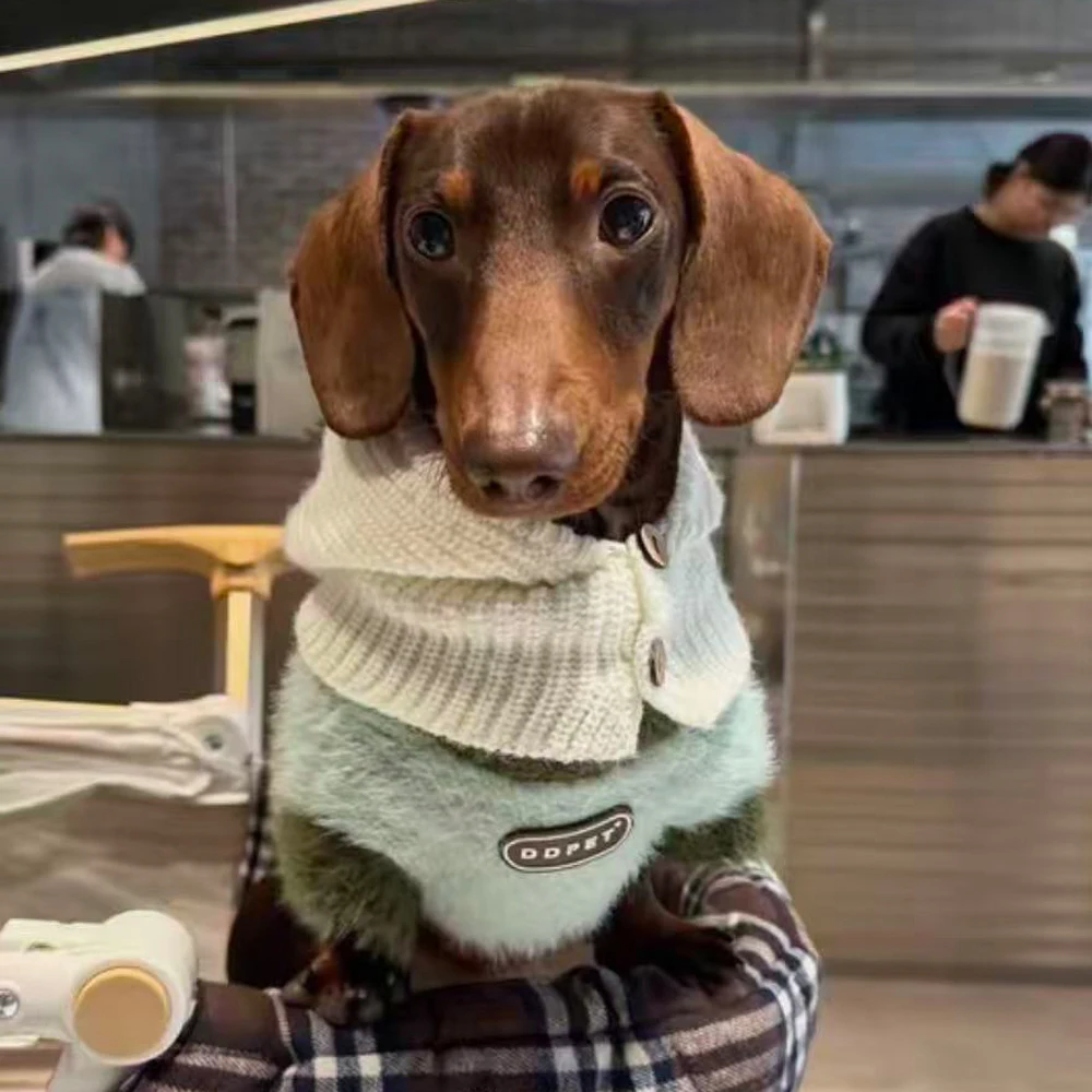 Jersey de punto para Dachshund – Verde manzana con rayas, abrigo suave - imagen 5