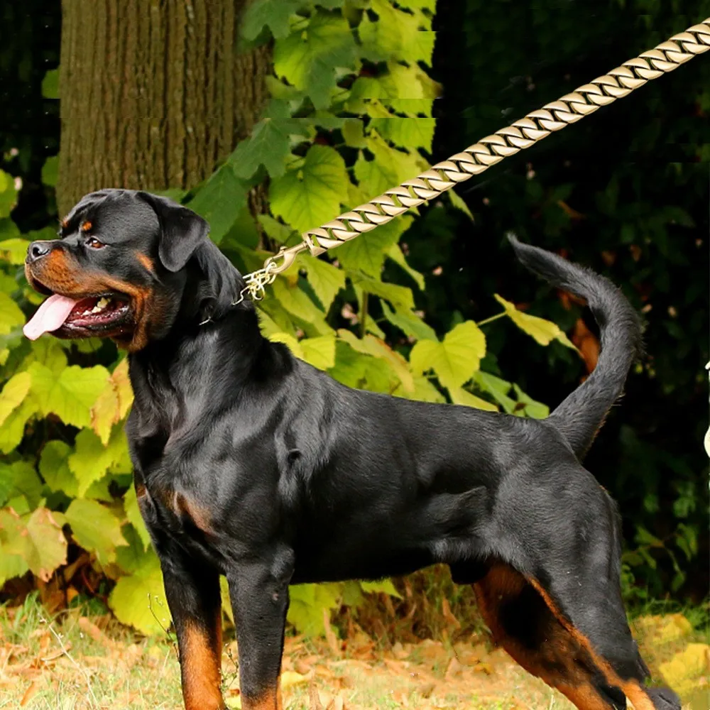 Correa de cadena dorada de acero inoxidable para perro, cadena de cuerda de tracción plateada duradera de Metal súper fuerte, sólida para accesorios de joyería para mascotas - imagen 3