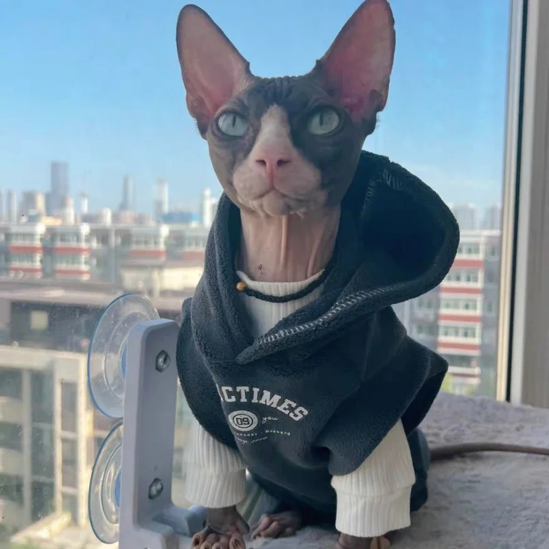 Sudadera gruesa con capucha de lana amarilla para Sphynx Cat, abrigo gris de manga corta para Devon en invierno, ropa de descanso suave para gatitos - imagen 4