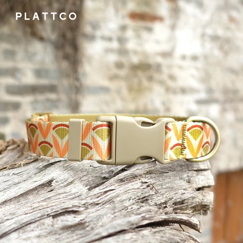 Collar personalizado para mascotas de diseñador, Collar de perro personalizado de nailon de lujo, collares con nombre, accesorios, Bulldog Francés, Pug, Iris dorado - imagen 2