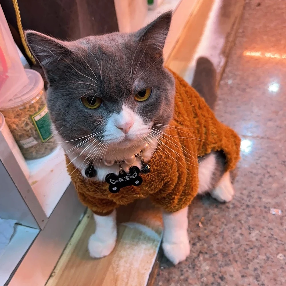 Mono cálido de lana para gatos Sphynx, monos de invierno para mascotas con hebilla, peleles para perros persa Chinchilla, disfraz para mascotas - imagen 3