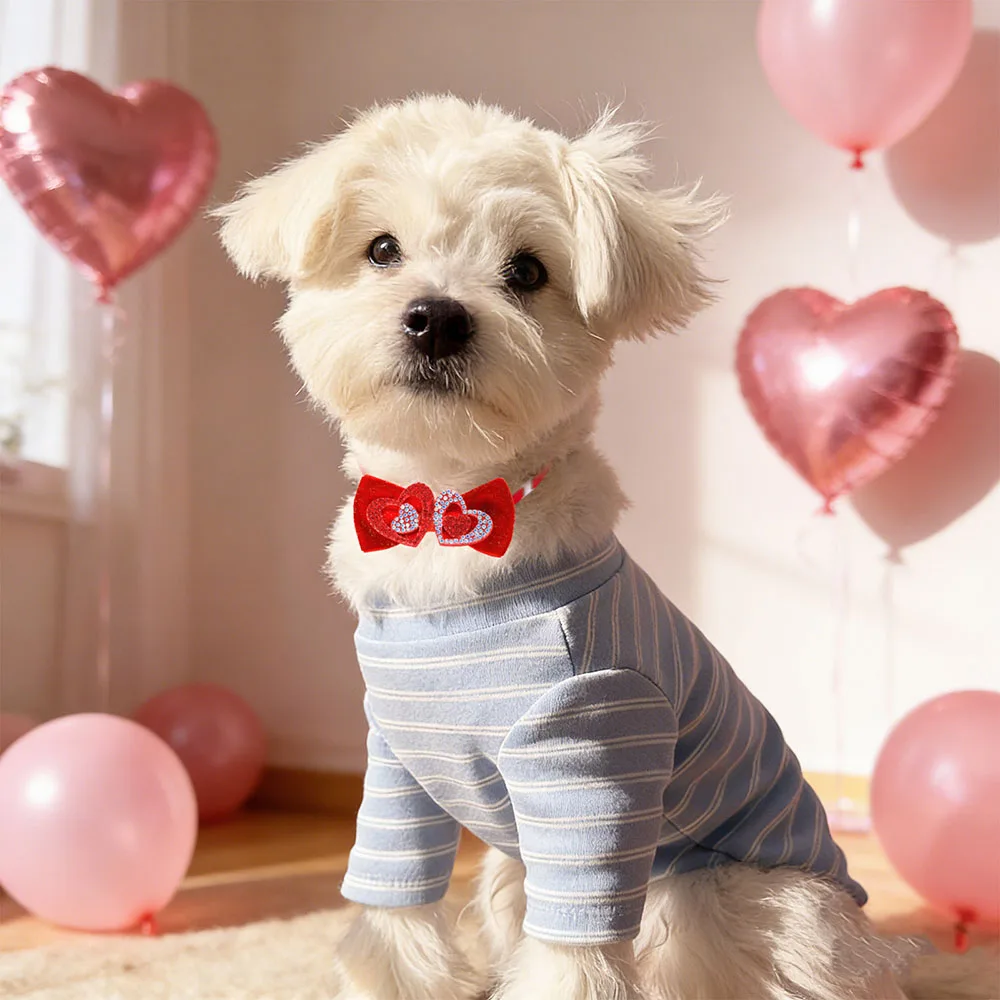 Corbata para perros – Ideal para fiestas y celebraciones - imagen 3