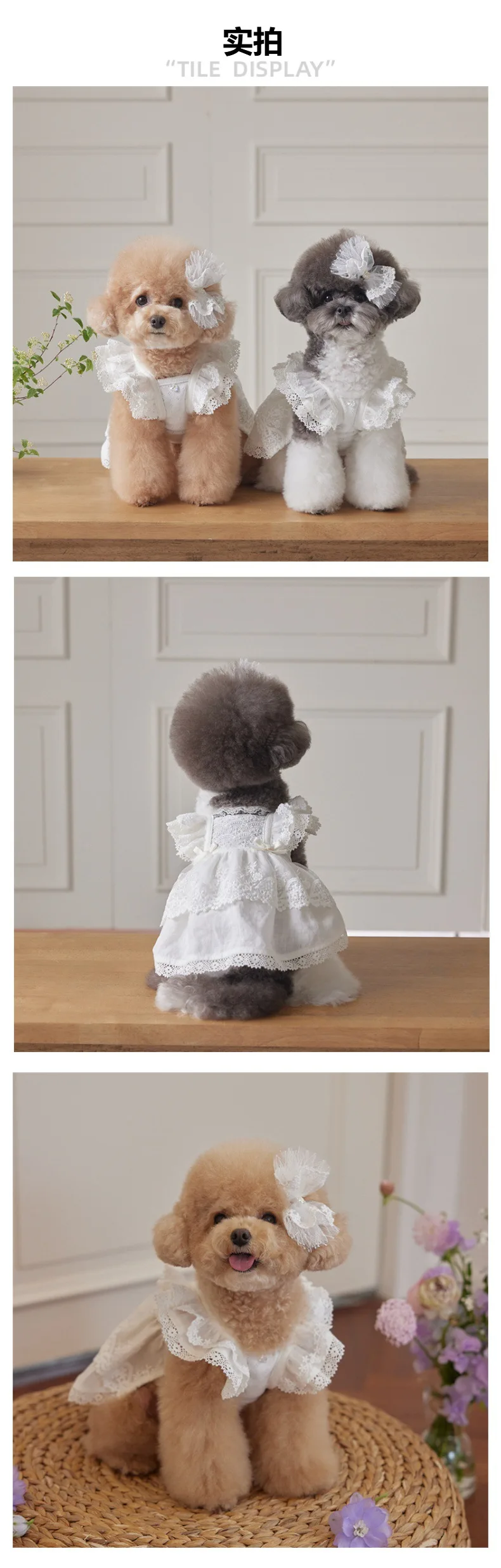 hmqViviiyNSAyin9WuaSt/ACURIAduUTDenv