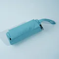 SkyBlue