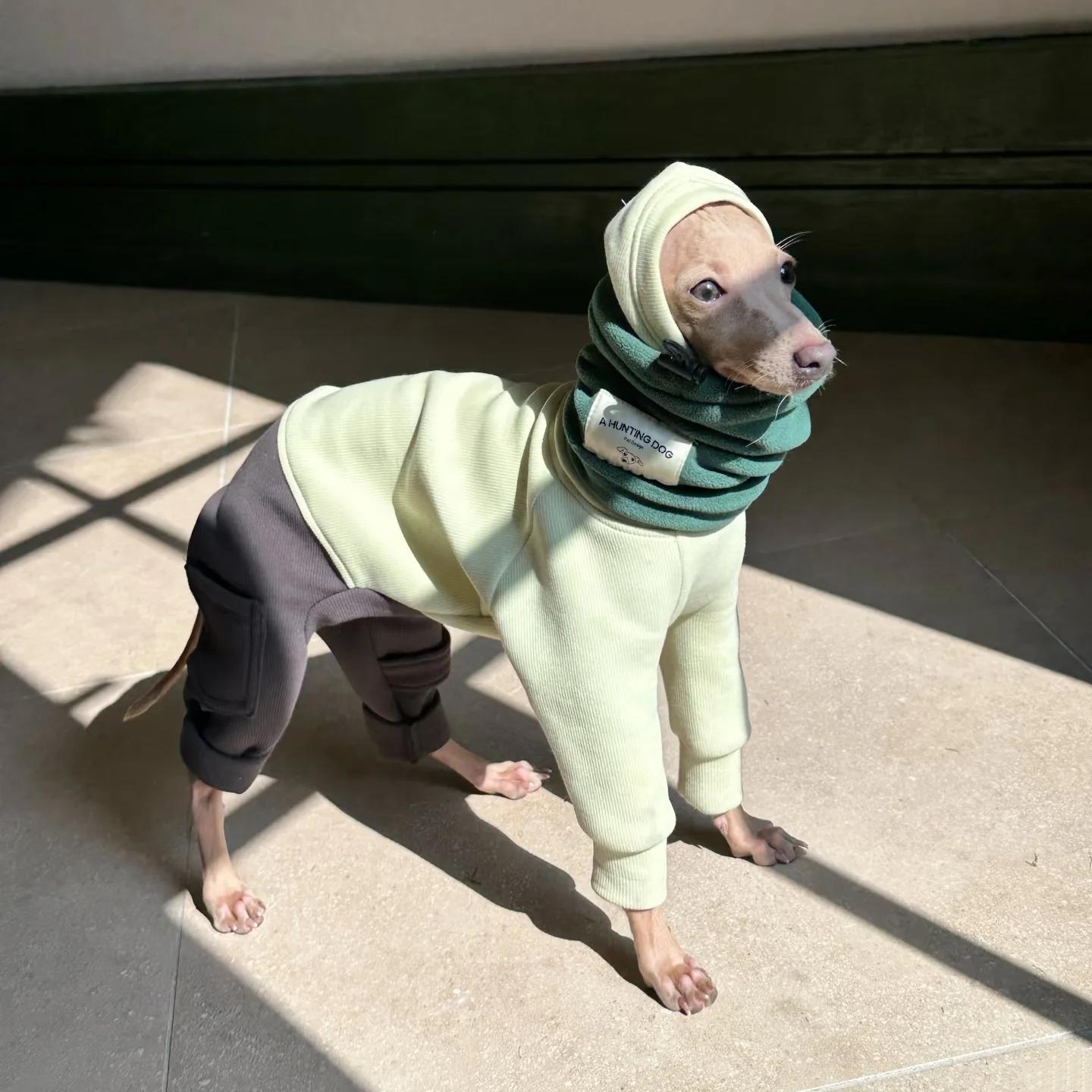 Sudadera con capucha para galgo italiano y whippet – Abrigo cálido