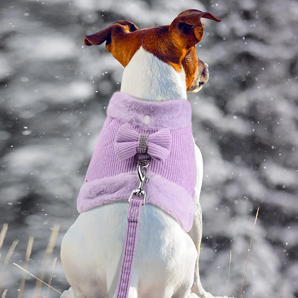 Conjunto de correa de arnés para perro cálido de invierno, bonito pajarita para perros y gatos, chaleco, ropa para mascotas Chihuahua con Cuello de piel para Pug Bulldog