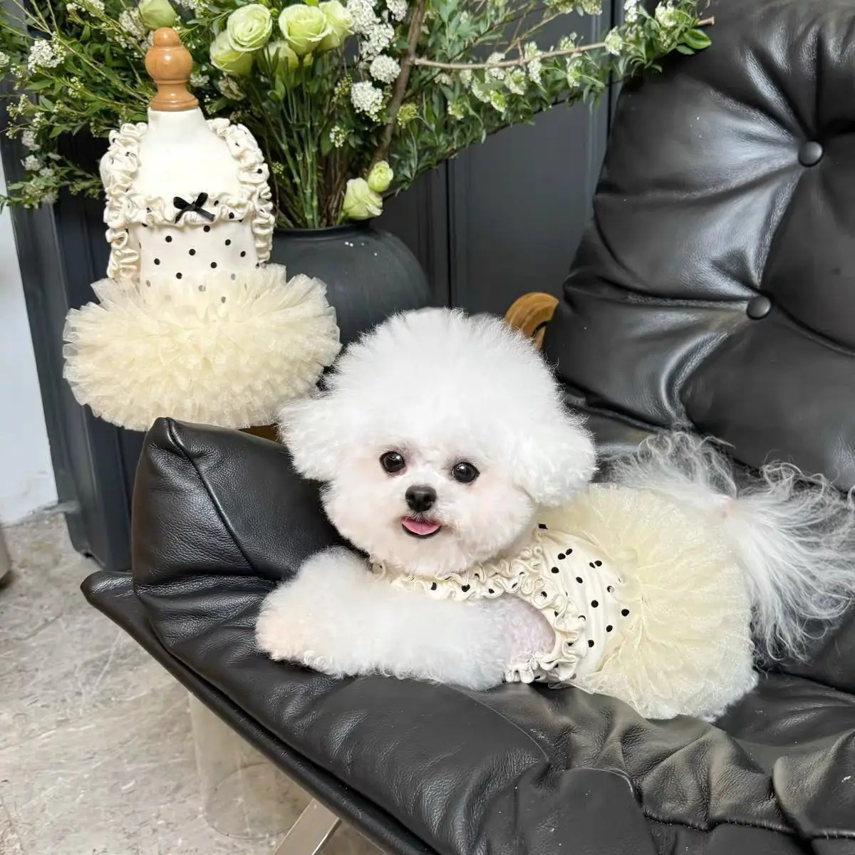 Vestido princesa floral transpirable para gatos y perros pequeños - imagen 5