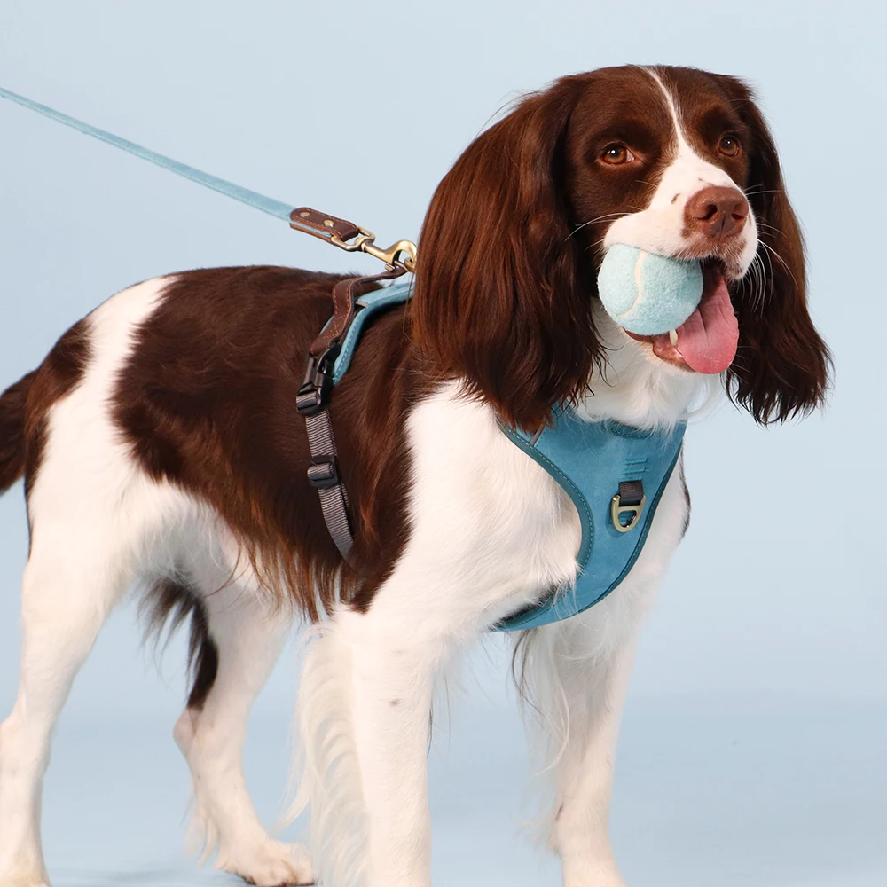 Arnés acolchado de piel sintética para perros – Ajustable con asa - imagen 5
