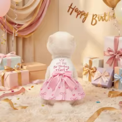 Vestido cumpleaños perros pequeños y medianos: lazo, corona Princesa