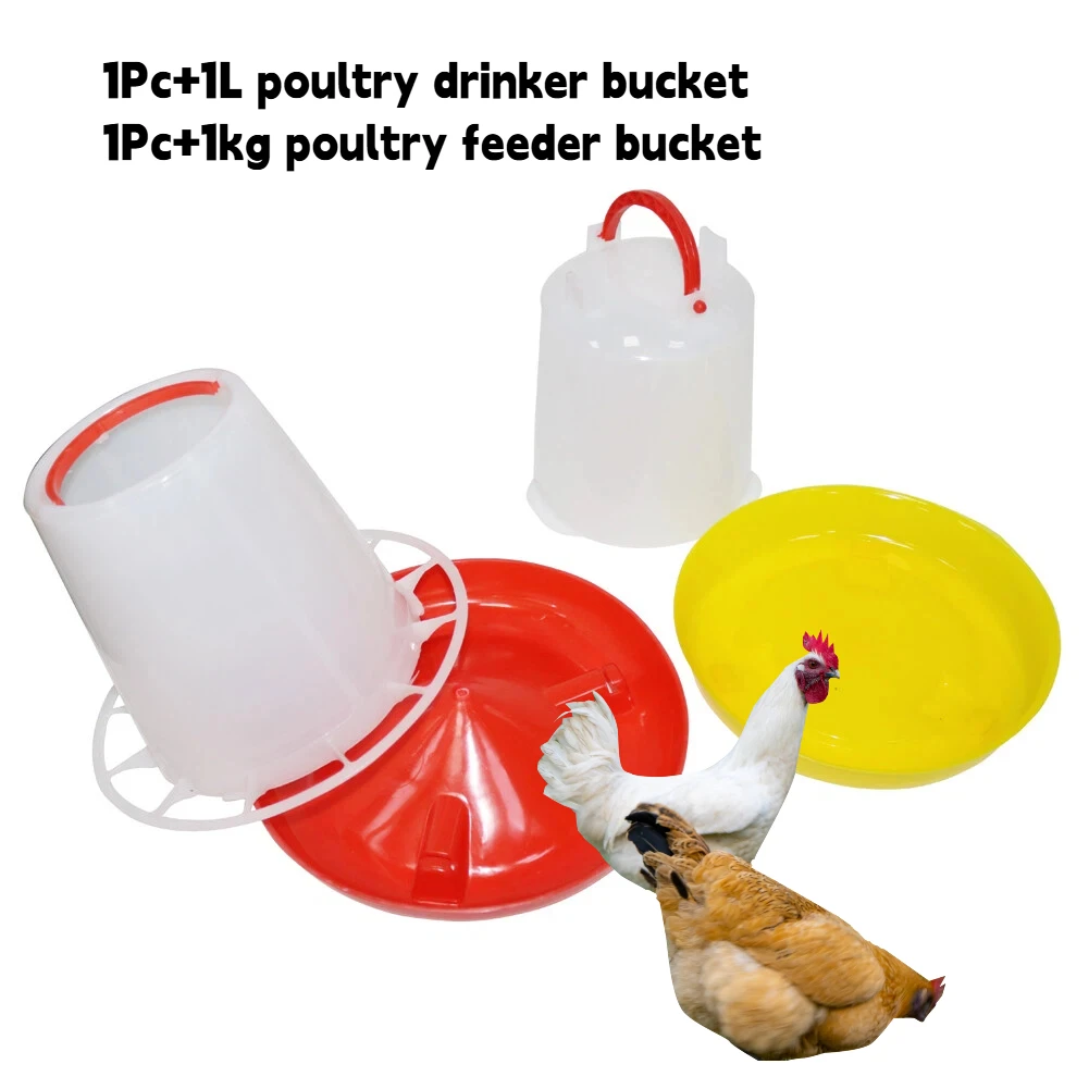 1kg+1L Poultry Feeder And Waterer Water Food Dispenser Automatic Chicken Birds Chick Waterer Feeding Farm Animal Feeding Tools