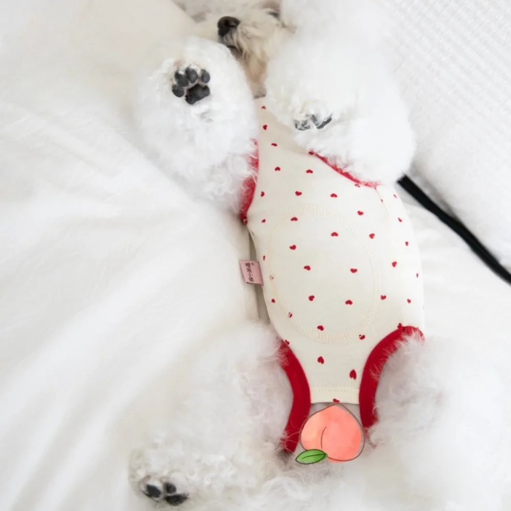 Otoño Invierno protección para mascotas vientre chaleco de cuatro patas pijamas para perros ropa de casa para mascotas oso de peluche ropa sin mangas ropa para cachorros - imagen 5