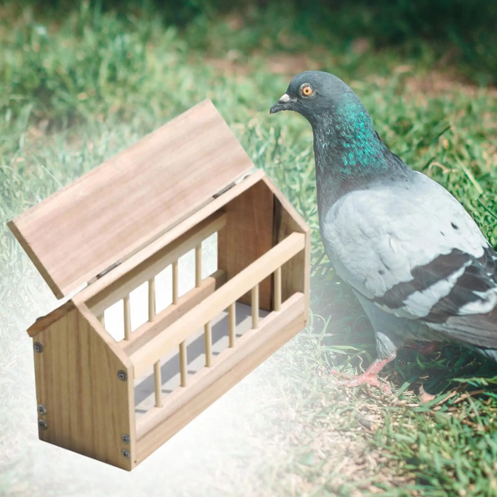 40cm Wooden Pigeon Feeder Trough Food Dispenser House Design Pigeon Supplie Poultry Trough Dish Bird Feeder for Pigeon 40cm Wooden Pigeon Feeder Trough Food Dispenser House Design Pigeon Supplie Poultry Trough Dish Bird Feeder for Pigeon