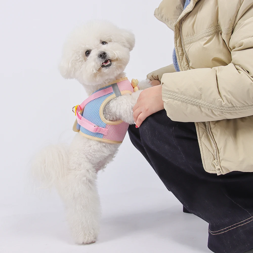 Arnés de moda para cachorros y gatos con malla de flores, juego de correas y correas transpirables para perros pequeños y medianos, accesorios para mascotas - imagen 4