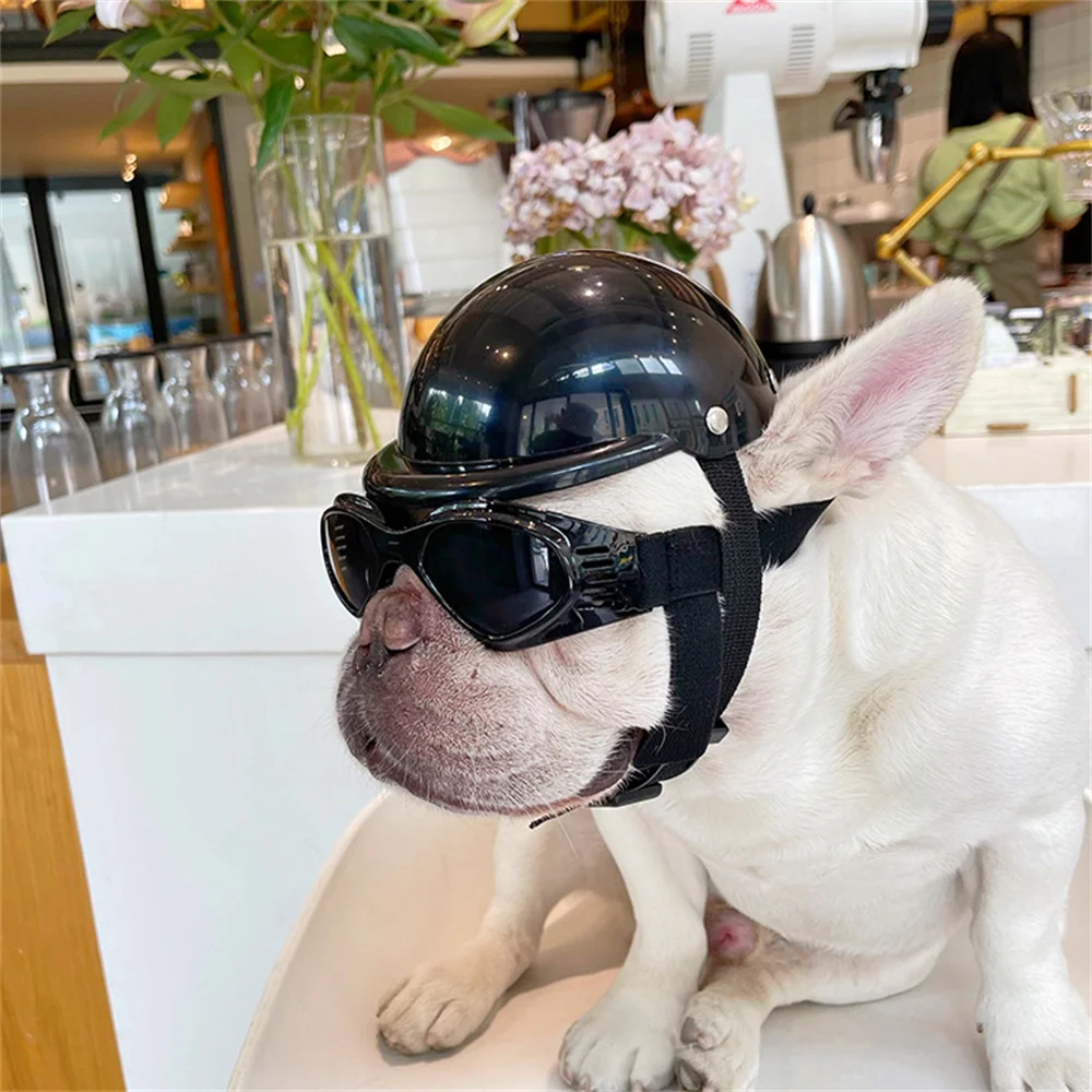 Casco de moda para perros pequeños, sombrero de seguridad ajustable para cachorros, Bulldog francés, Dachshund, suministros para mascotas al aire libre, accesorios - imagen 3