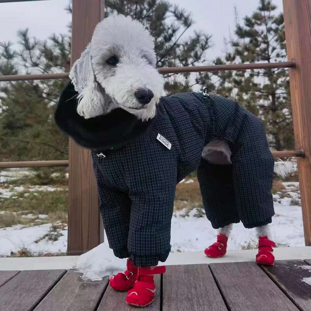 Abrigo invierno perro Bedlington cálido cortavientos impermeable - imagen 3