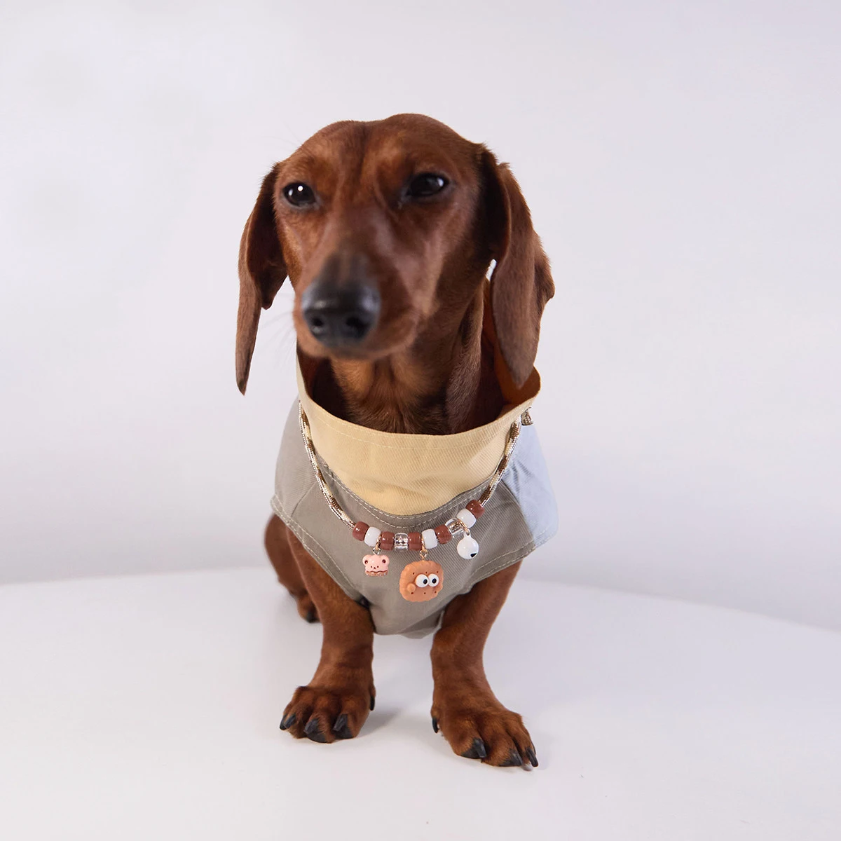 Camiseta de primavera para perros salchicha – Abrigo suave sin mangas - imagen 4