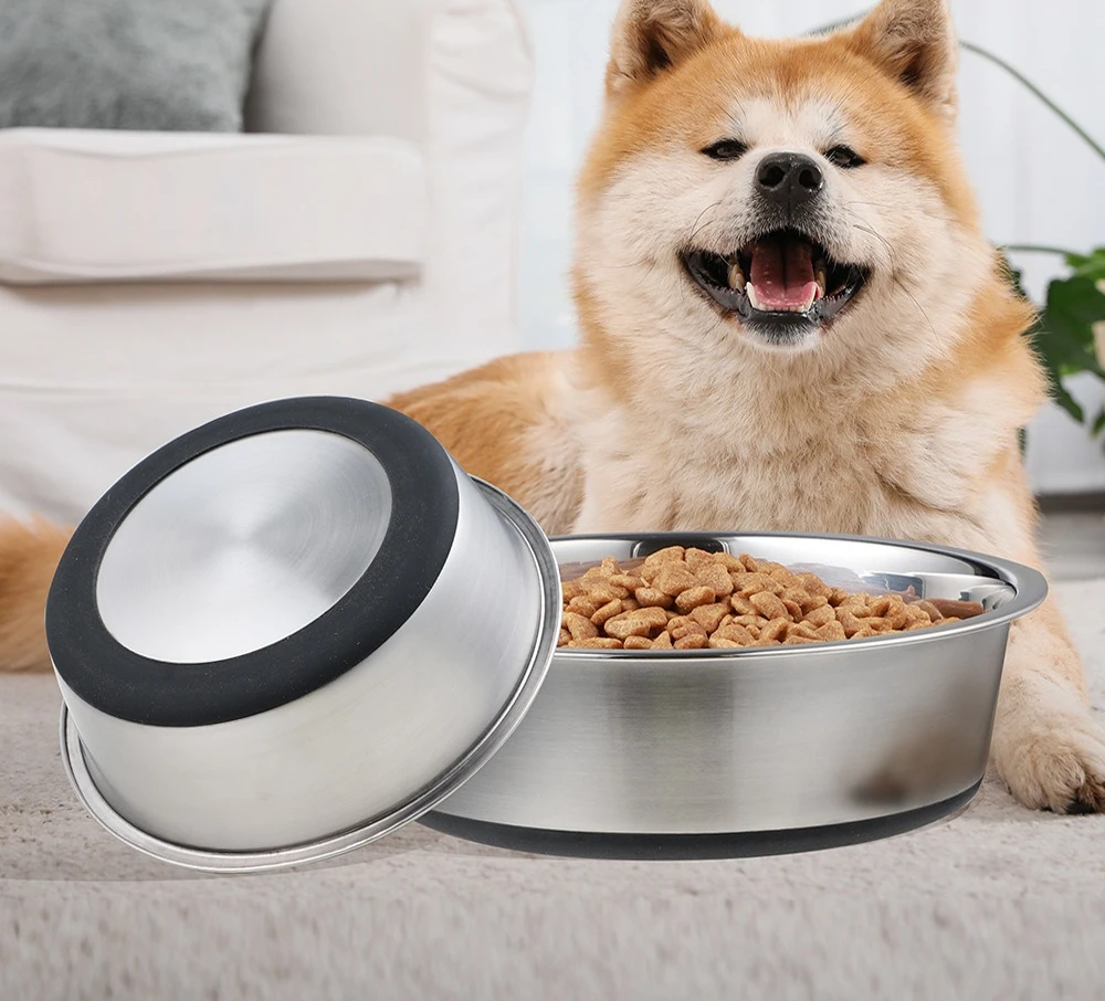 Tazones de Silicona para Gatos y Perros y Bebedero de Acero Inoxidable - imagen 3
